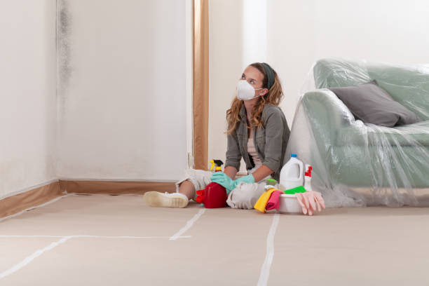 Reliable Mold Remediation contractor in Grand Haven, MI by Cheap Mold Removal